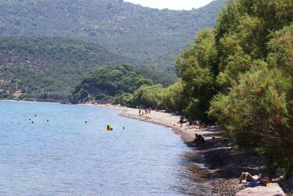 Karagiannaki Daire Skala Sykamineas Dış mekan fotoğraf